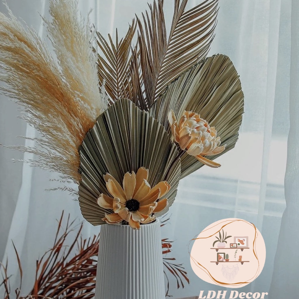 Large Dried Cycas Palm Leaves