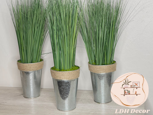 Classic Farmhouse Plant