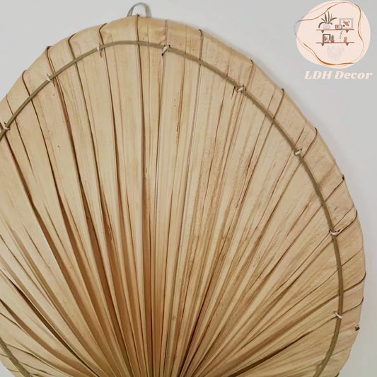 Large Dried Palm Leaves Fan