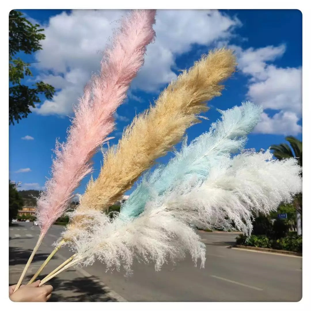 Large Teal Pampas Grass