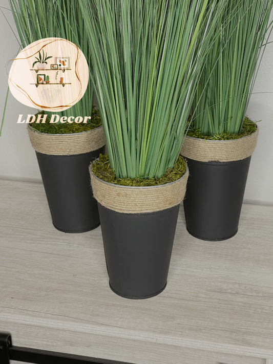 True Green Plant