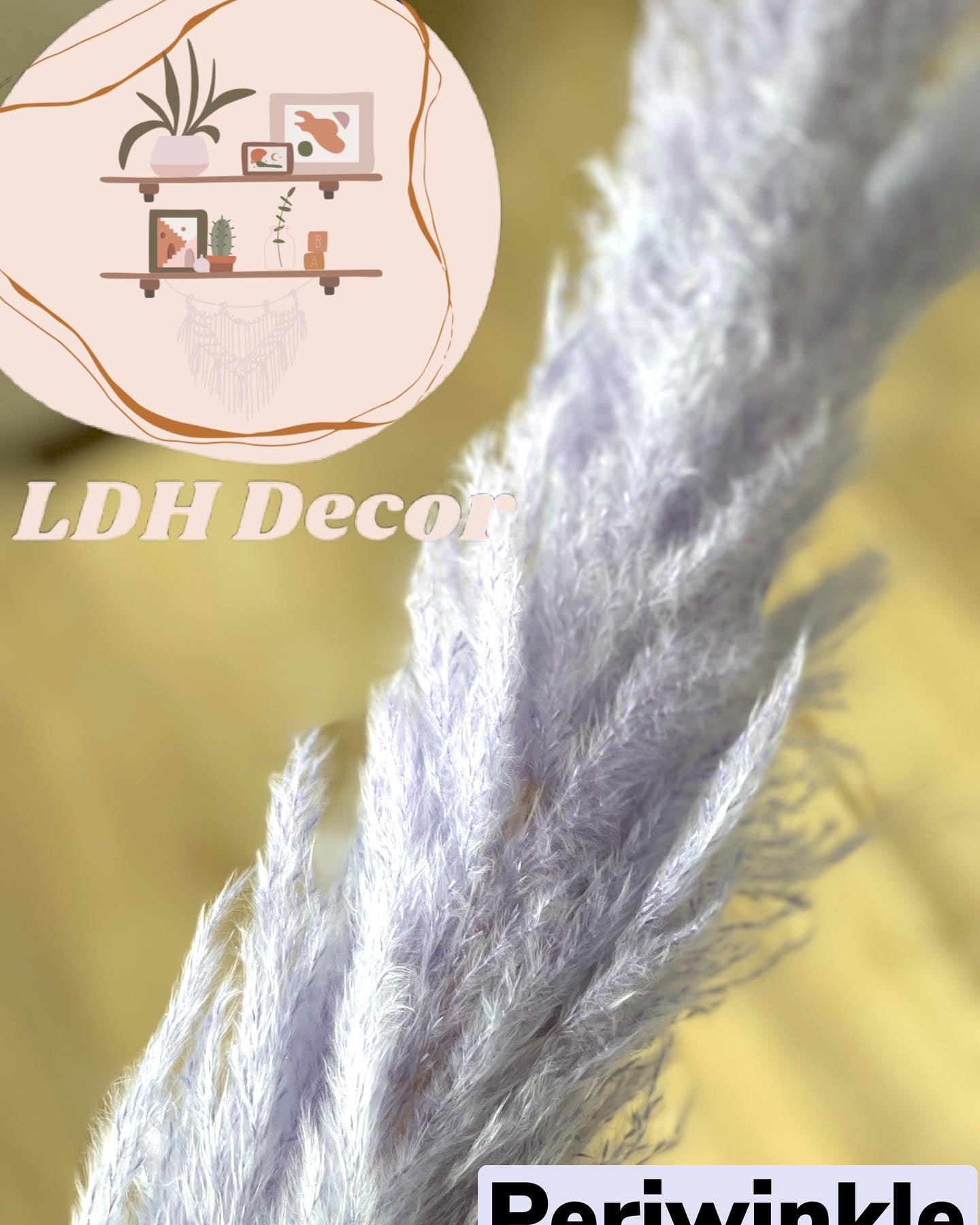 Large Lavender Purple Pampas Grass