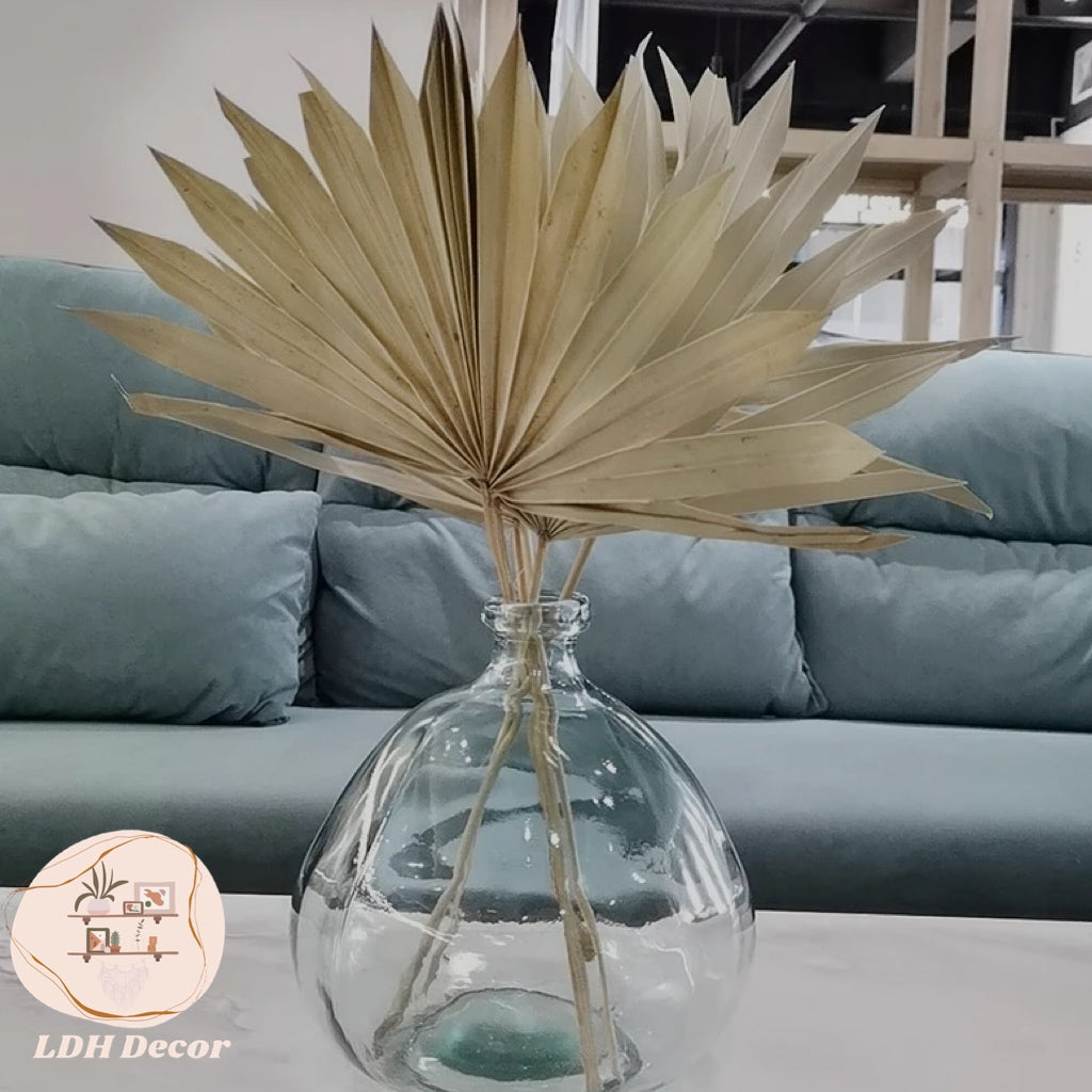 Small Dried Palm Leaves