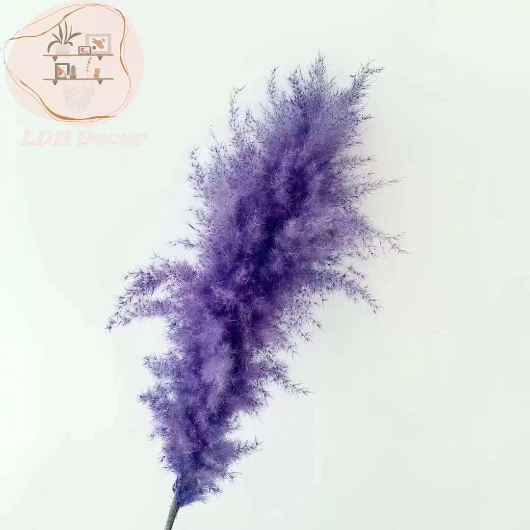 Large Lavender Purple Pampas Grass