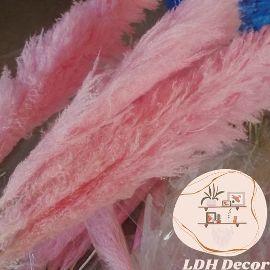 Large Light Pink Pampas Grass