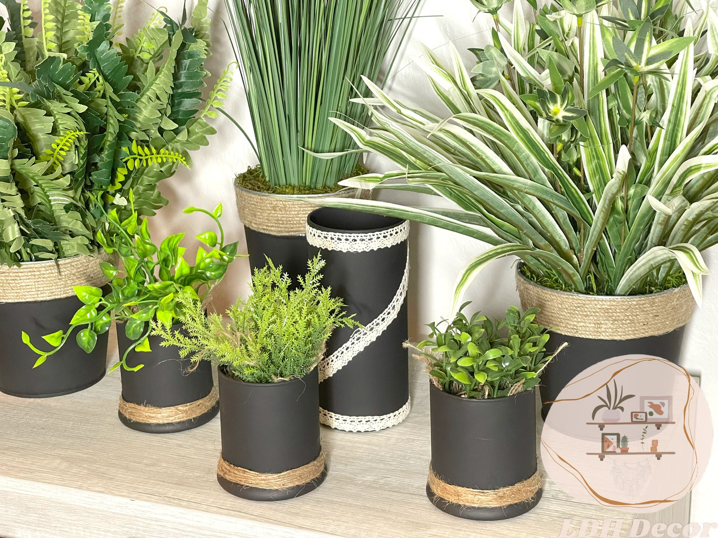 Green & White Traditional  Plant
