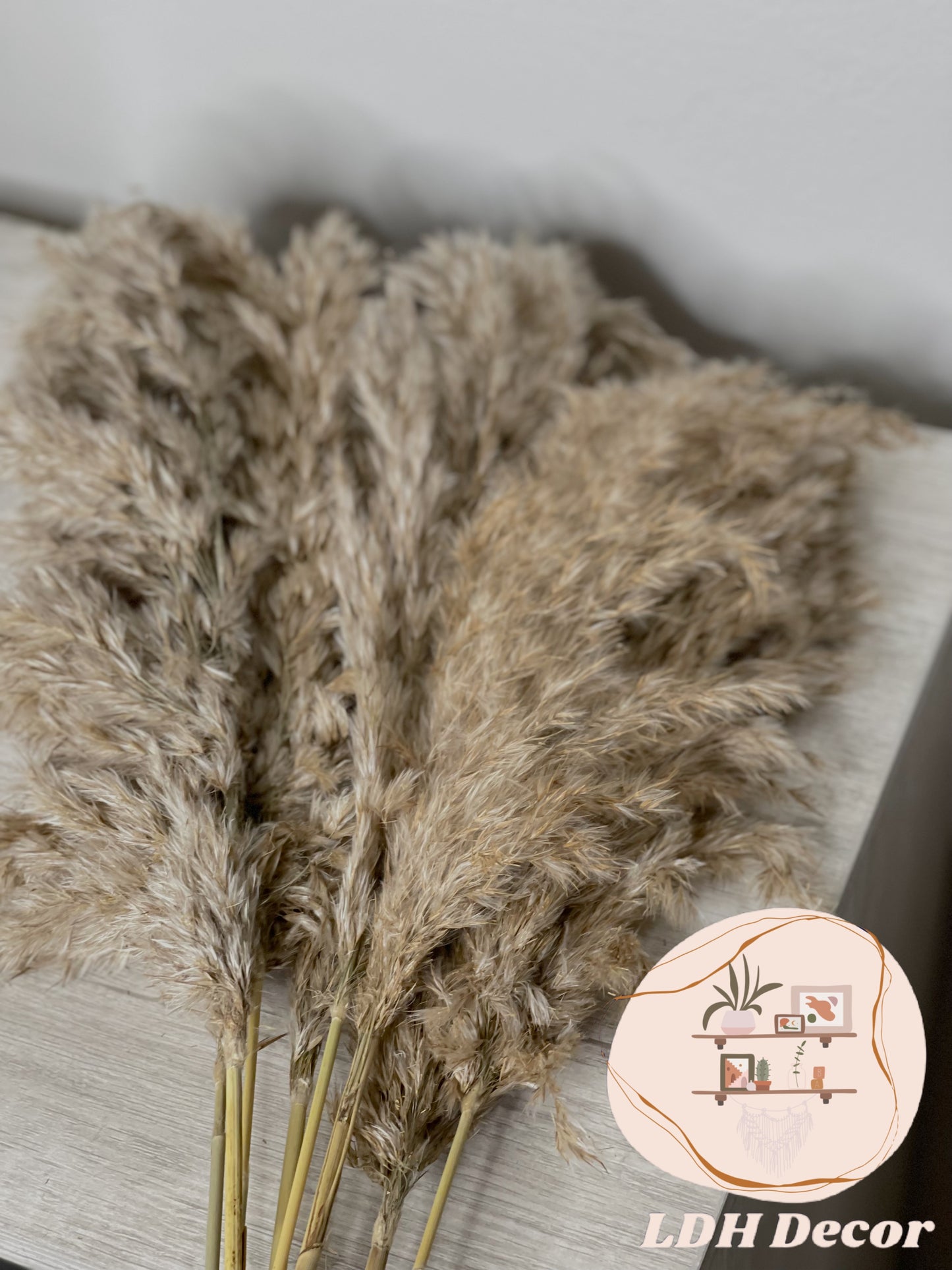 Natural Grey Pampas Grass