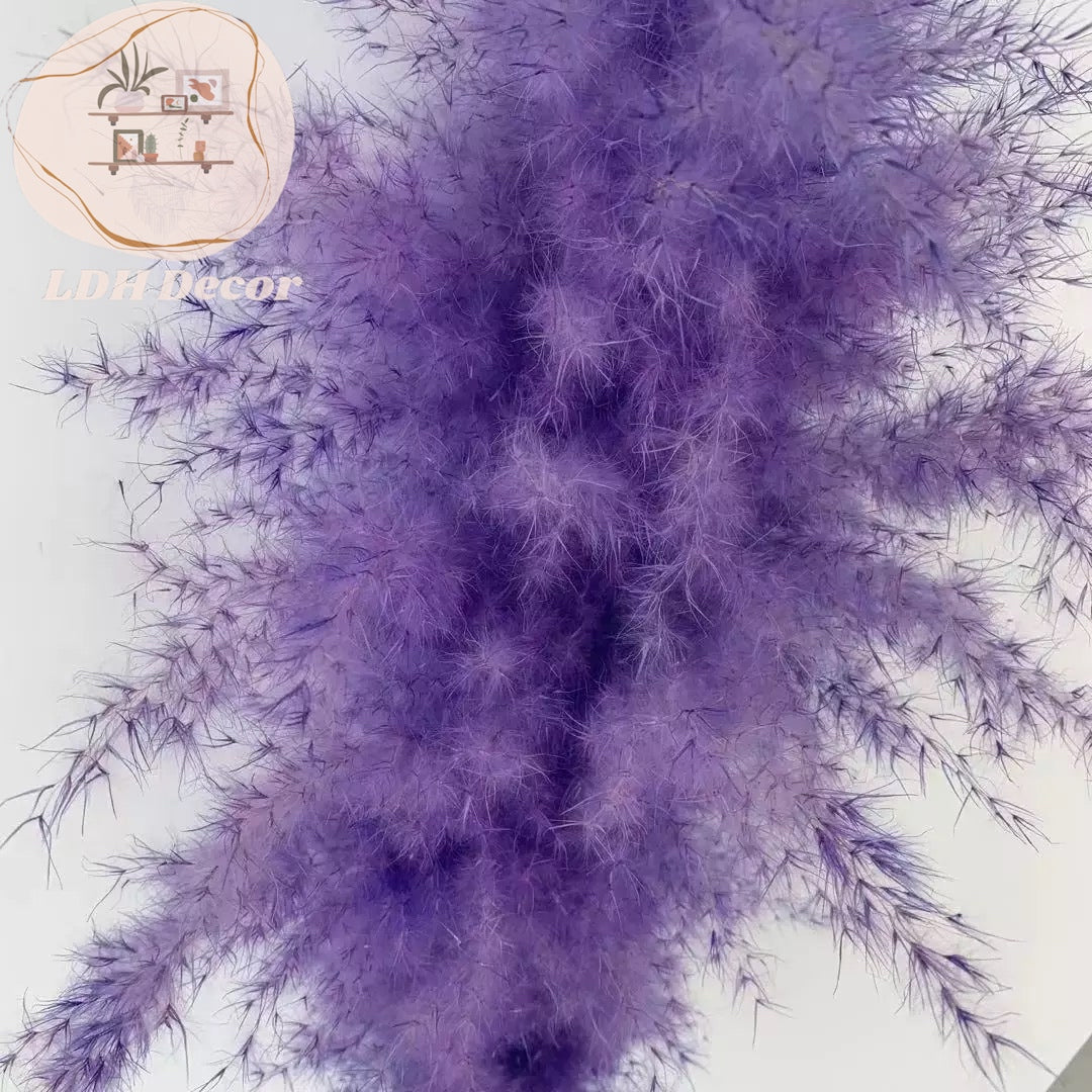 Large Lavender Purple Pampas Grass