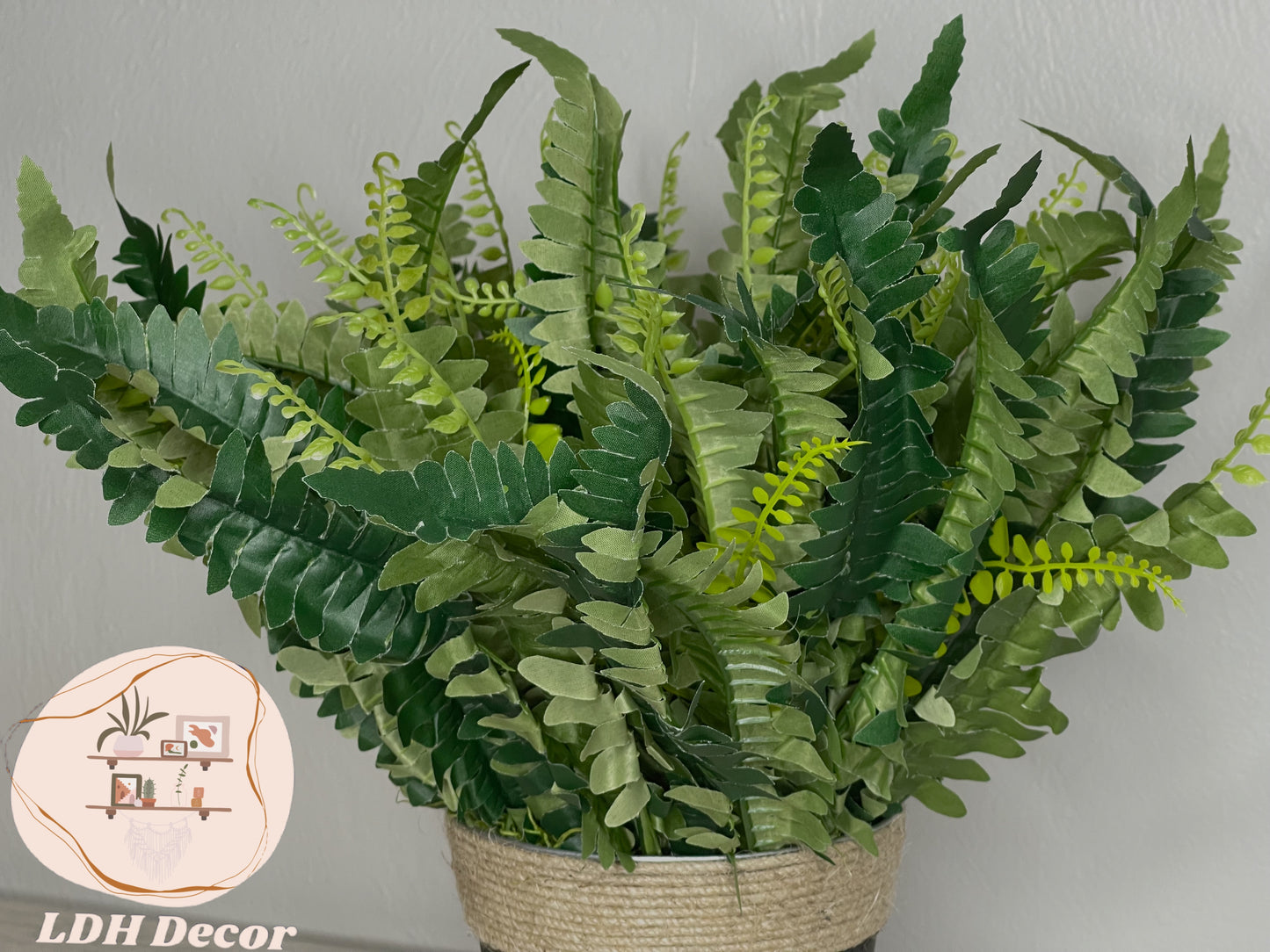 Three Shades of Green Plant