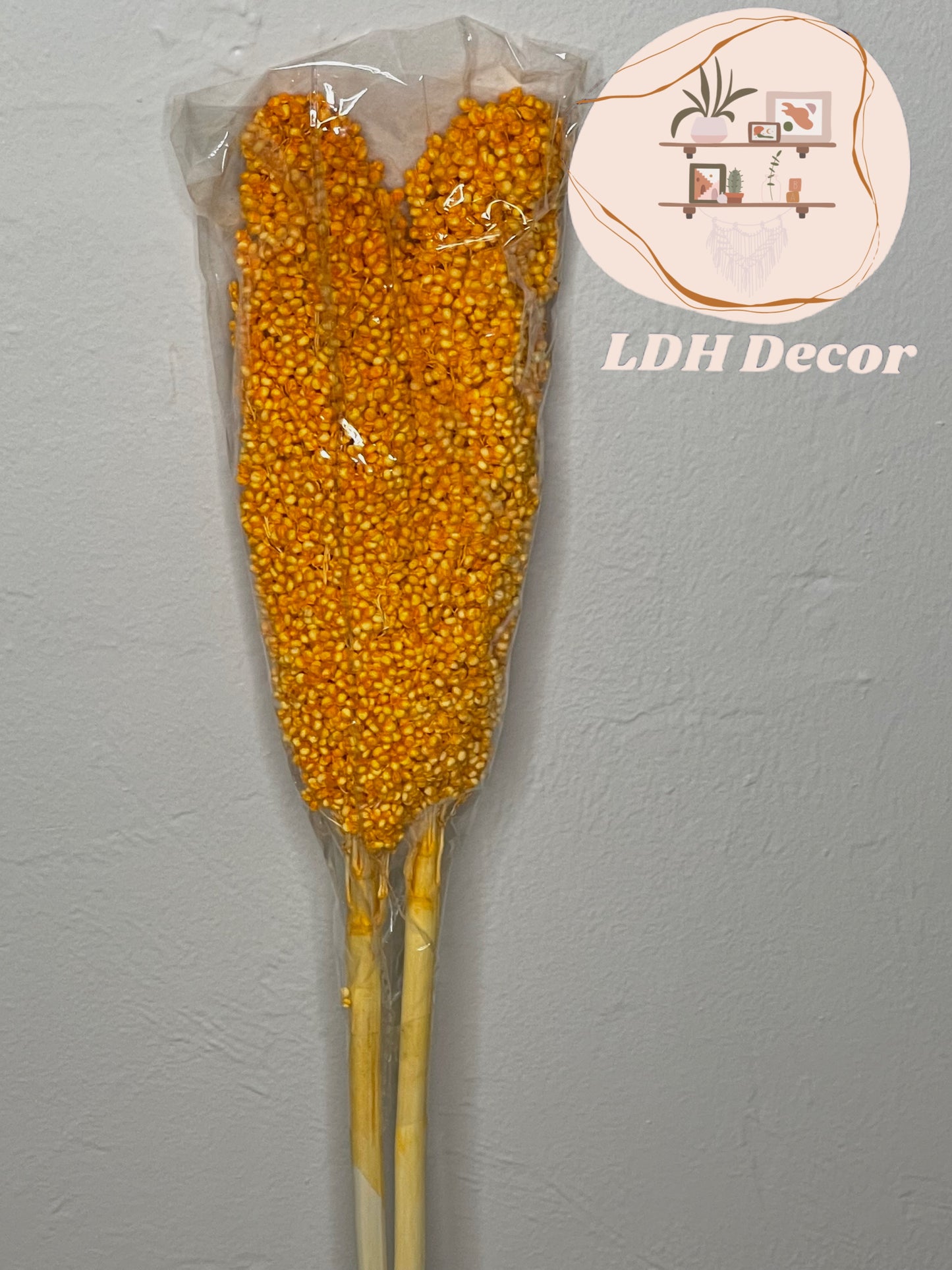 Large Dried Natural Sorghum Flowers