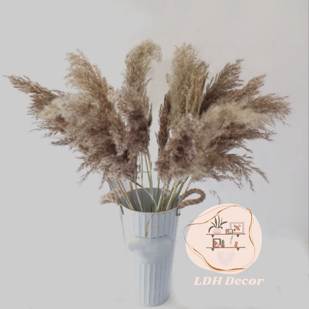 Natural Grey Pampas Grass