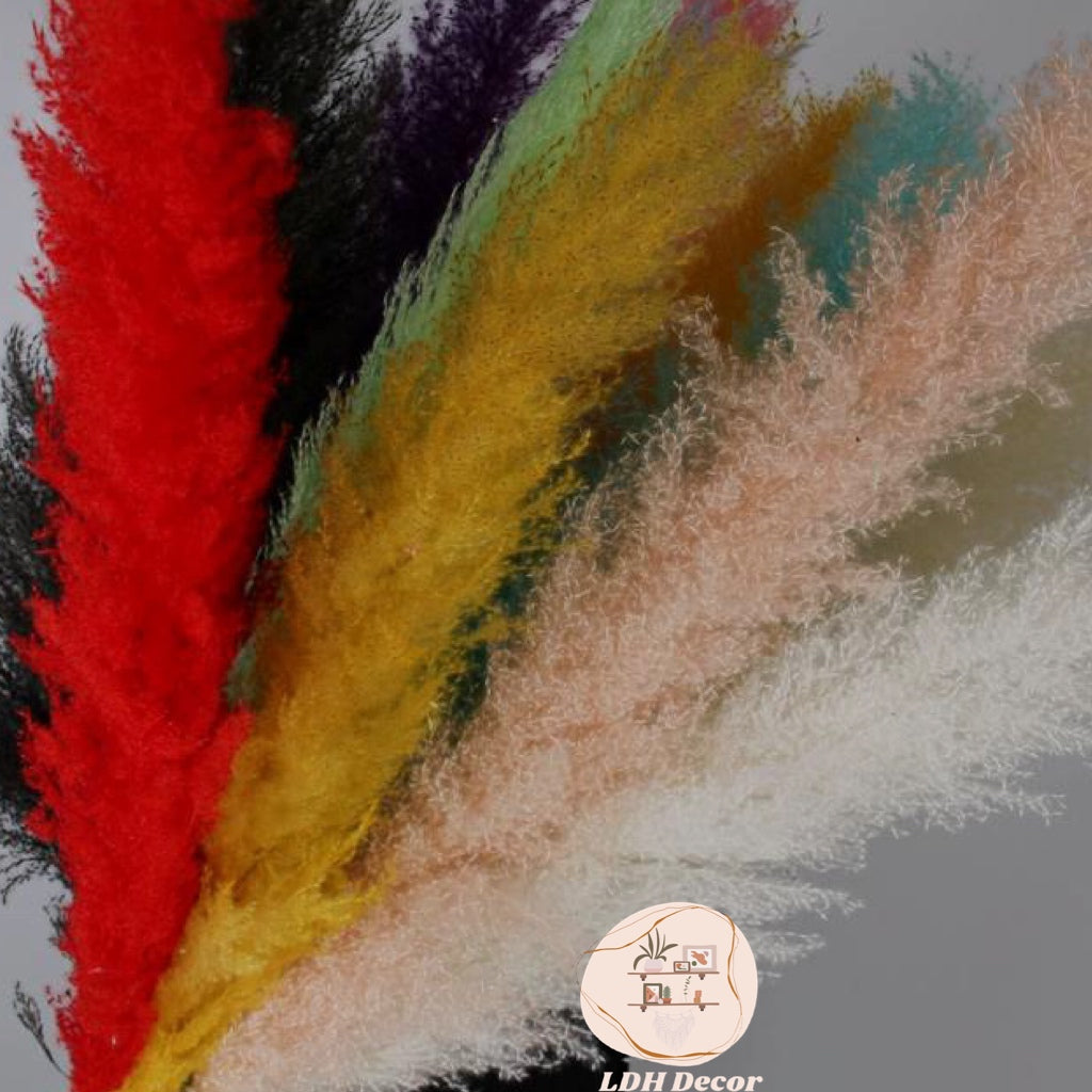 Large Dark Pink Pampas Grass